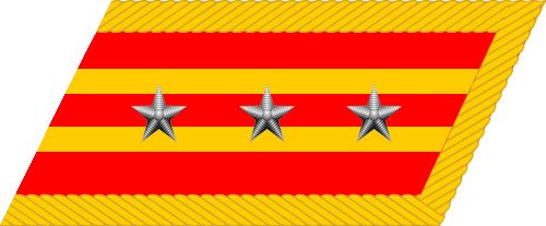 File:Colonel collar insignia (PRC).jpg