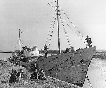 File:Daigo Fukuryu Maru.jpg