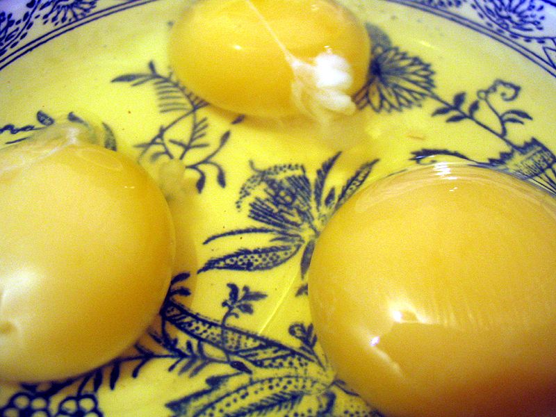 File:Eggs 12.jpg