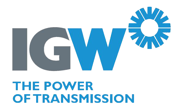 File:IGW Logo.png