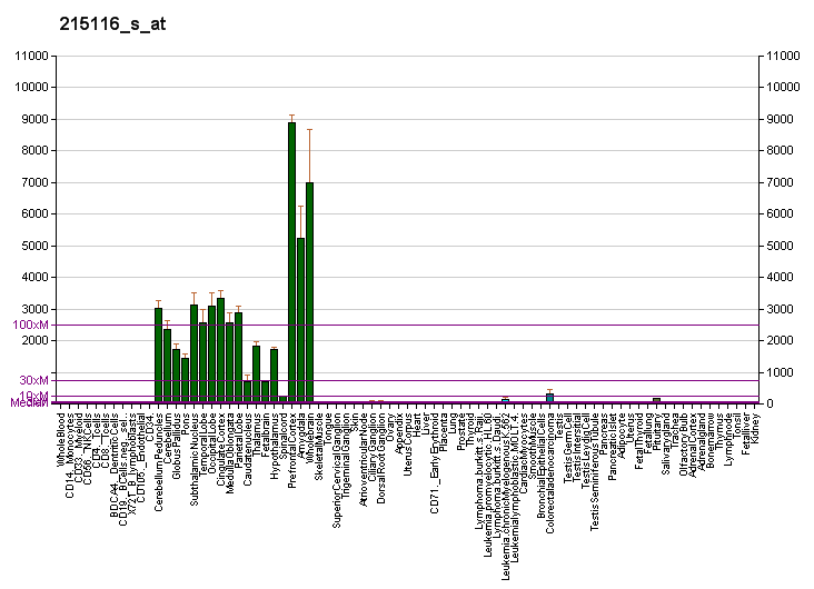 File:PBB GE DNM1 215116 s at fs.png