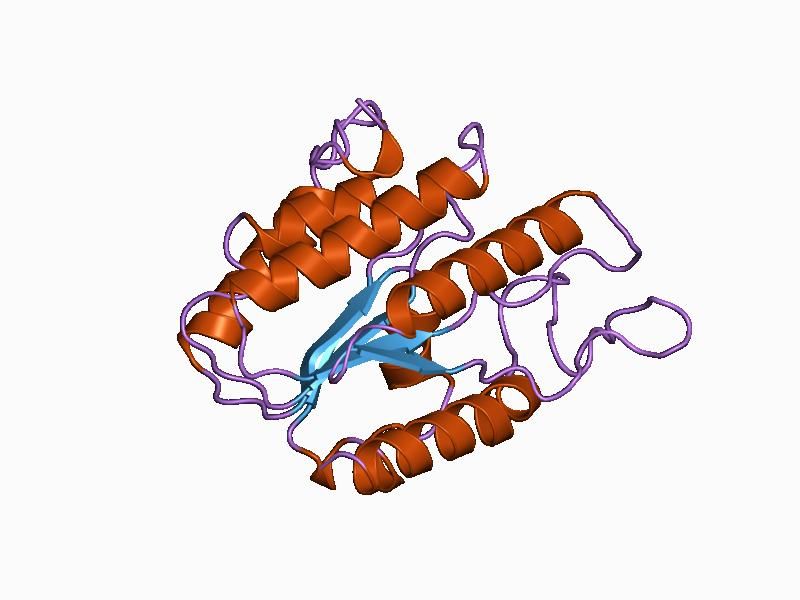 File:PDB 1bwq EBI.jpg