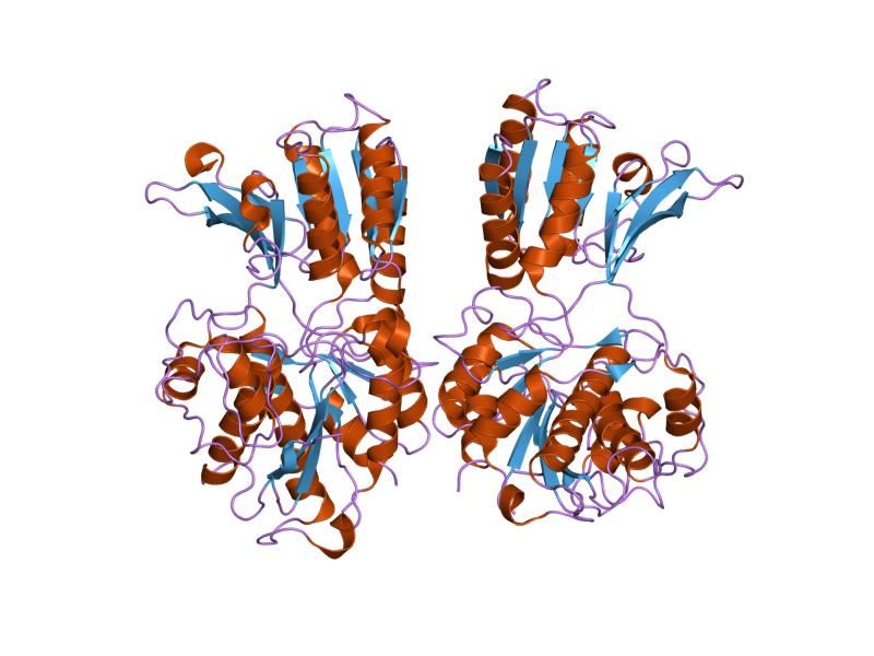 File:PDB 1ewv EBI.jpg