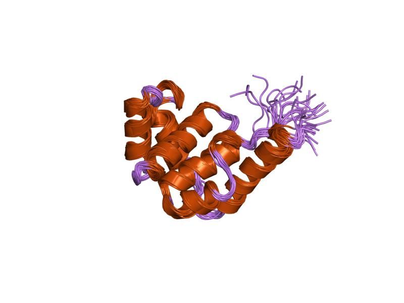 File:PDB 1jwe EBI.jpg