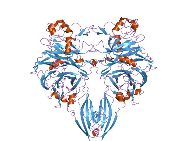 File:PDB 1olz EBI.jpg