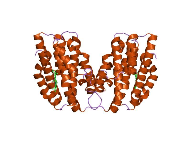 File:PDB 1oze EBI.jpg