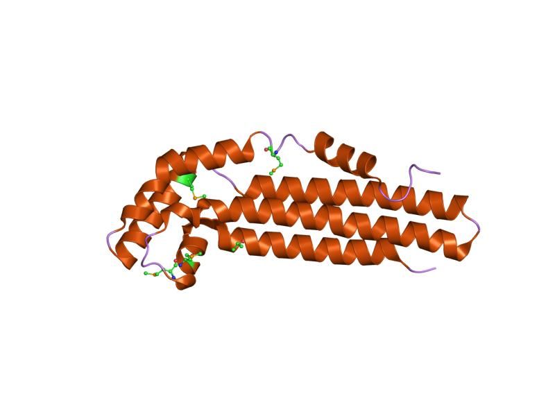 File:PDB 1s2x EBI.jpg