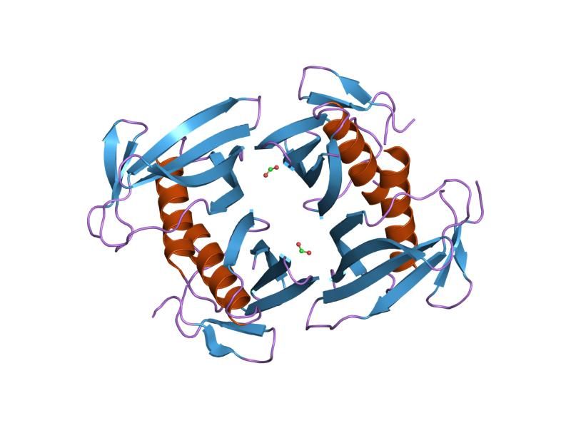 File:PDB 1tbu EBI.jpg