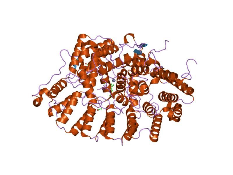 File:PDB 1tn7 EBI.jpg