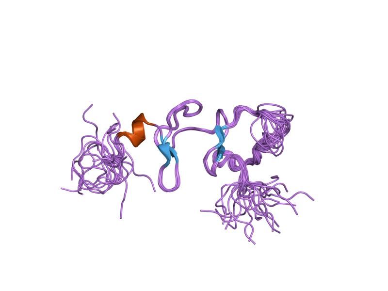 File:PDB 1x4l EBI.jpg