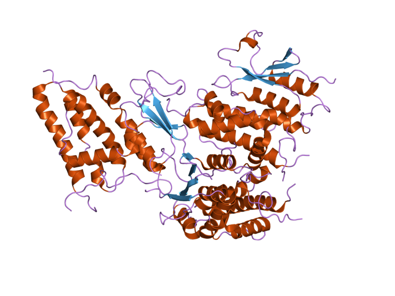 File:PDB 2d2z EBI.png