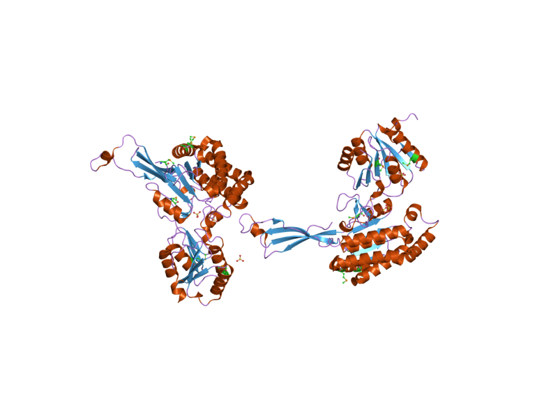 File:PDB 2h5g EBI.png