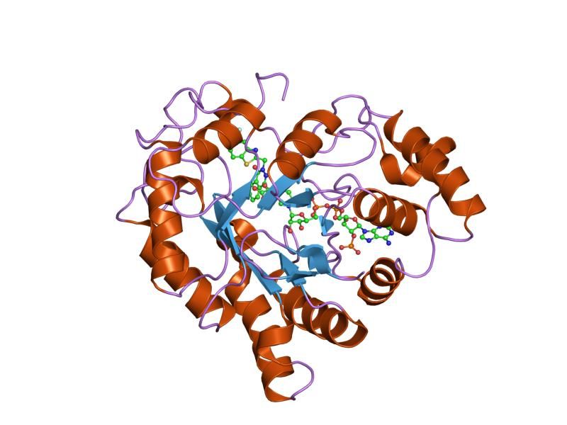 File:PDB 2hvo EBI.jpg