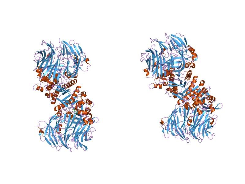 File:PDB 2i03 EBI.jpg