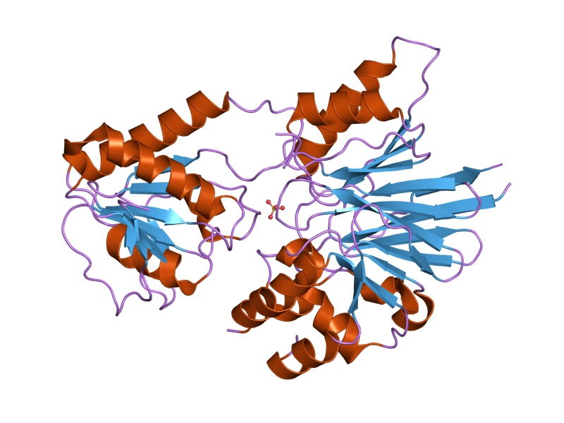 File:PDB 2i7t EBI.png