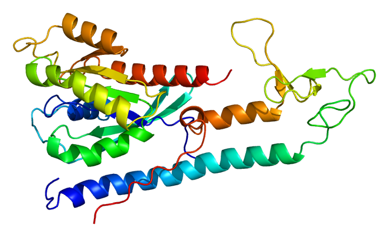 File:Protein RPH3A PDB 1zbd.png