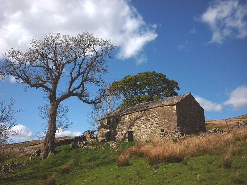 File:Roantree, Dentdale.jpg