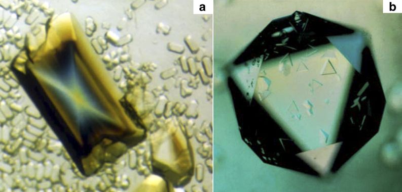 File:Satellite tobacco mosaic virus crystal.jpg