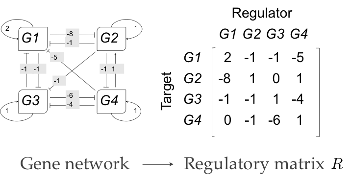 File:WagnerModel.png