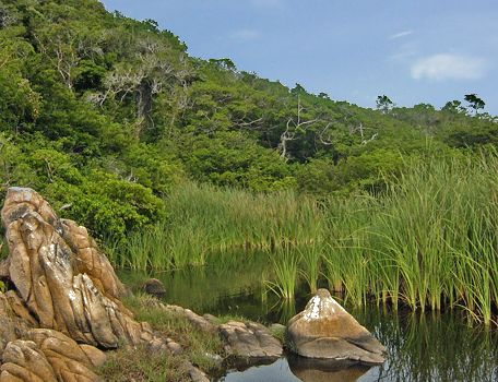 File:Huatulco, Mexico, Cacaluta Bay.jpg