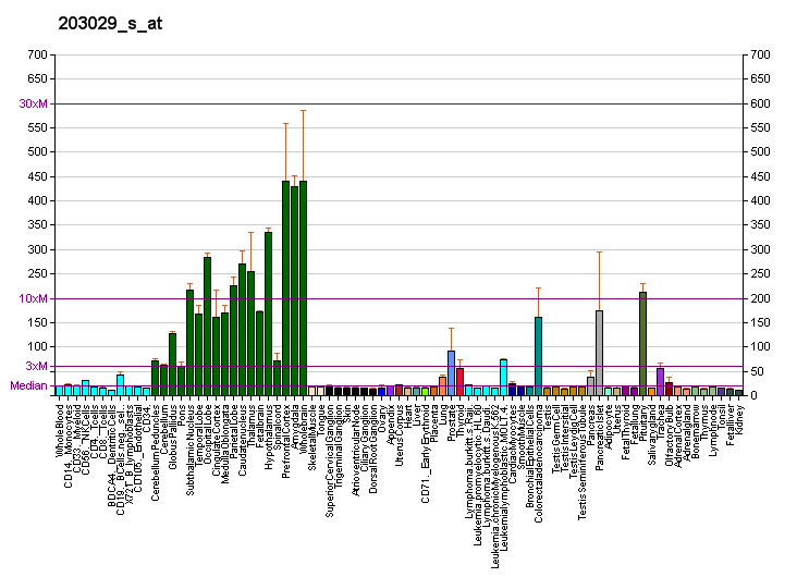 File:PBB GE PTPRN2 203029 s at fs.png