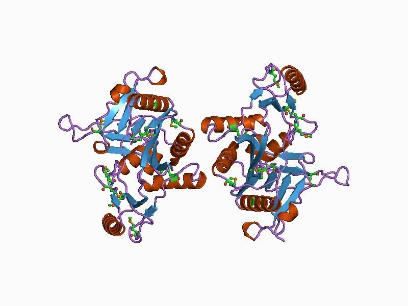 File:PDB 1auv EBI.jpg