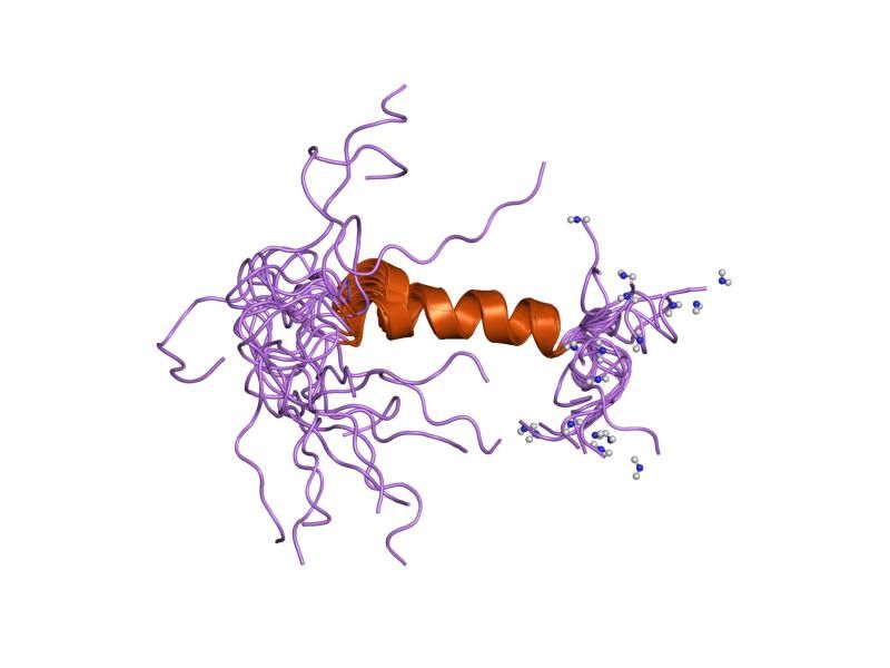 File:PDB 1icy EBI.jpg