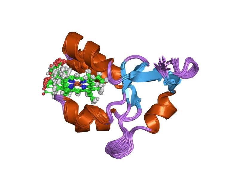 File:PDB 1nx7 EBI.jpg