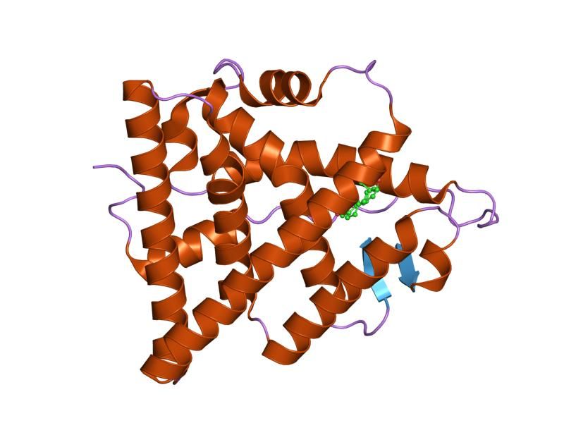 File:PDB 1qkt EBI.jpg