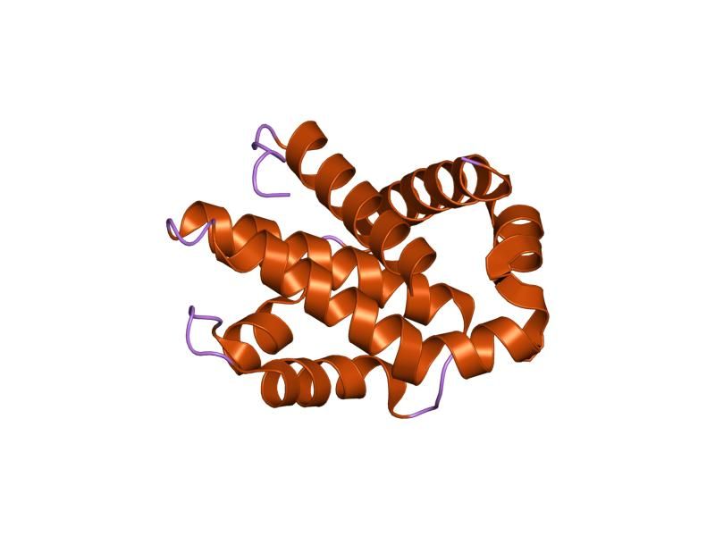 File:PDB 1r2e EBI.jpg