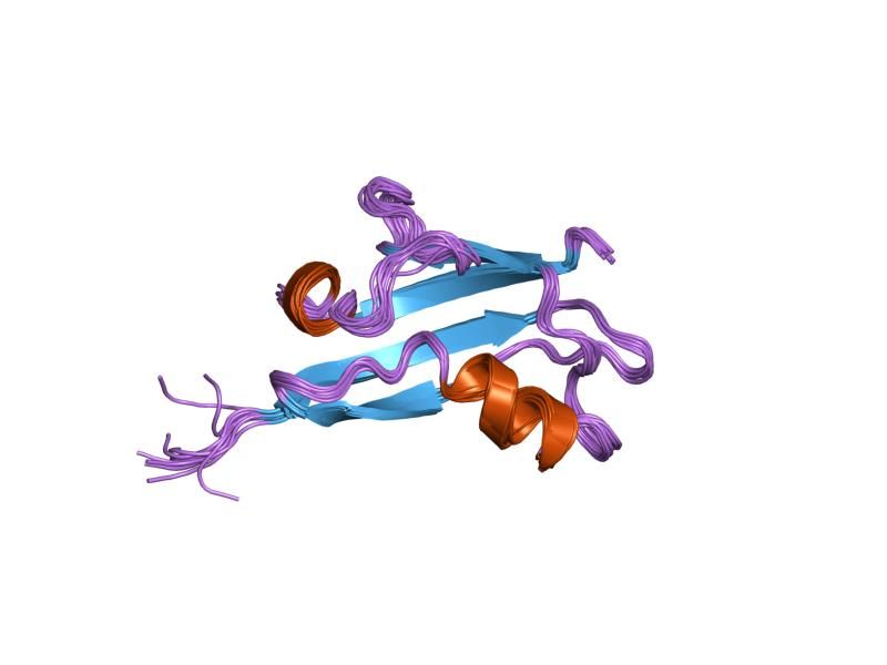 File:PDB 1rlf EBI.jpg