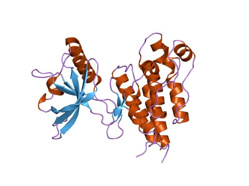 File:PDB 1vr2 EBI.jpg