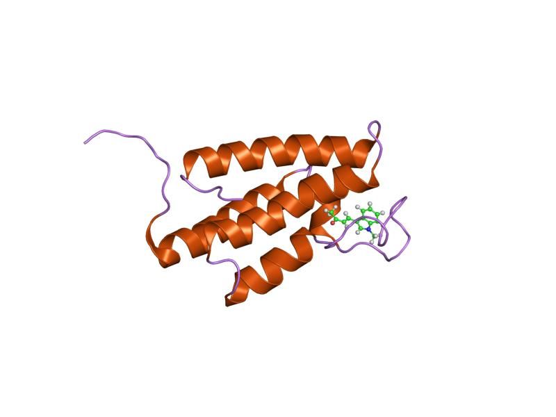 File:PDB 1zs5 EBI.jpg