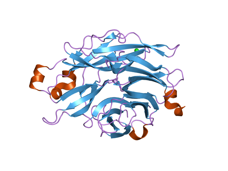 File:PDB 2f24 EBI.png