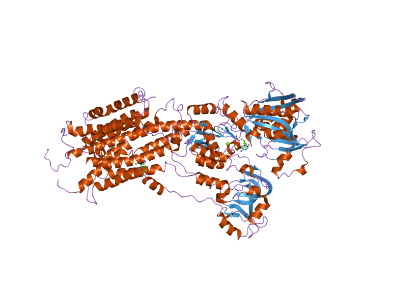 File:PDB 2oa0 EBI.png