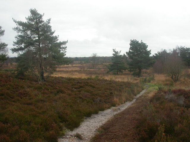 File:Parley Common - geograph.org.uk - 1078839.jpg