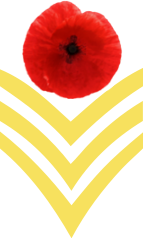 File:WWI contest service award 3stripe.png