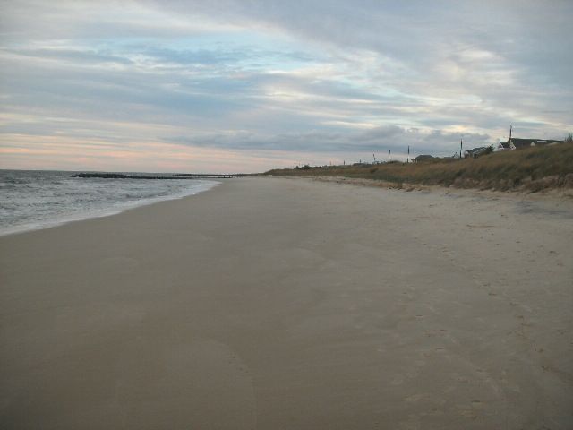 File:North Cape May shoreline.JPG