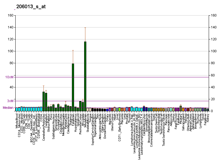 File:PBB GE ACTL6B 206013 s at fs.png