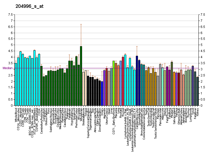 File:PBB GE CDK5R1 204996 s at fs.png