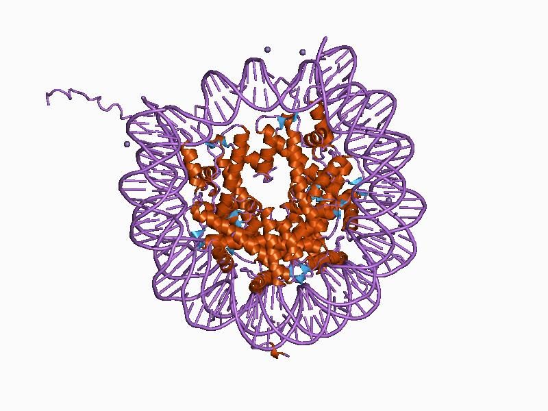 File:PDB 1aoi EBI.jpg