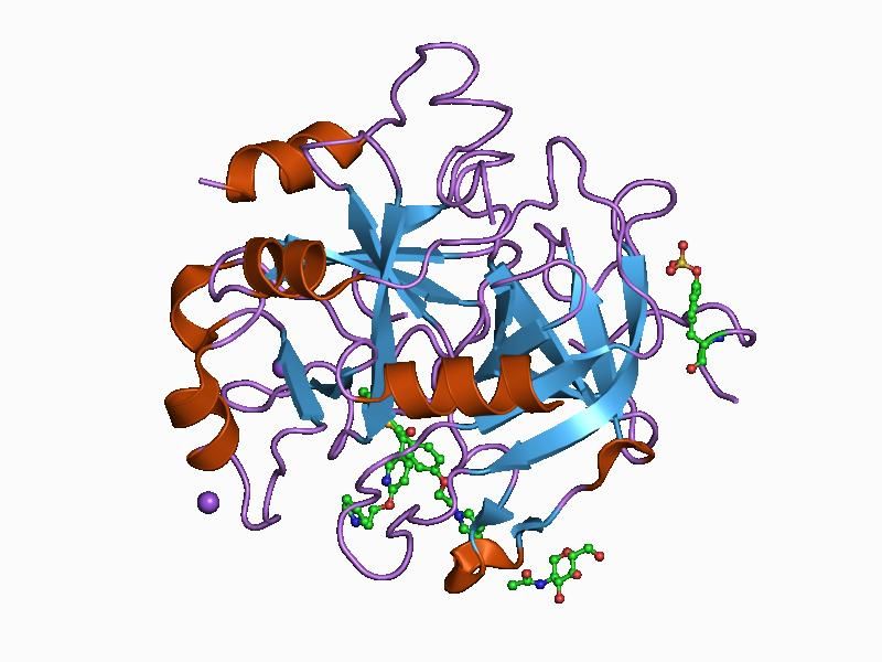 File:PDB 1d3t EBI.jpg