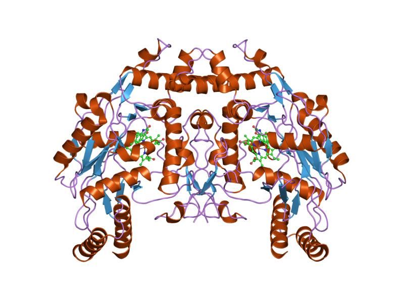 File:PDB 1m9j EBI.jpg