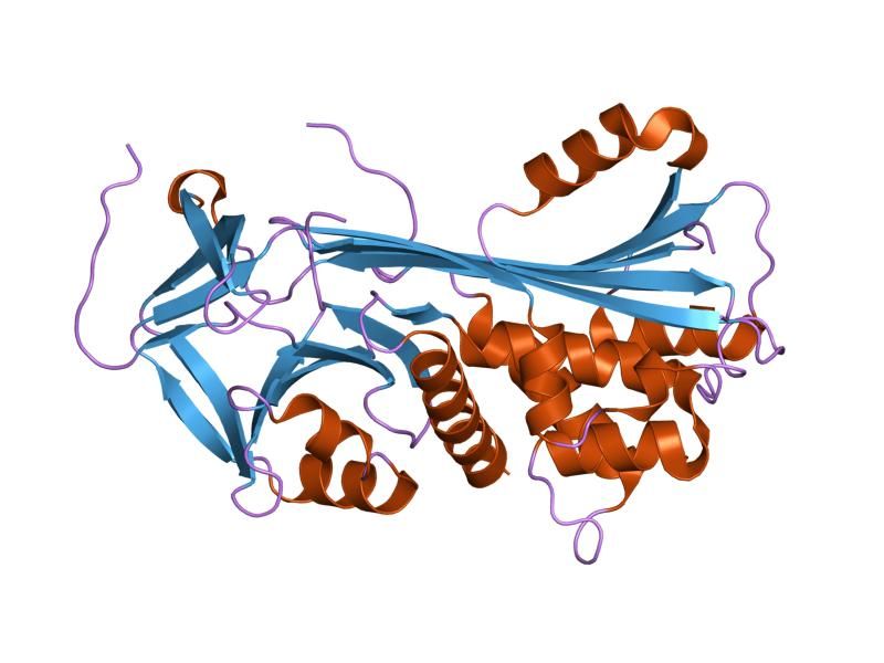 File:PDB 1qmn EBI.jpg