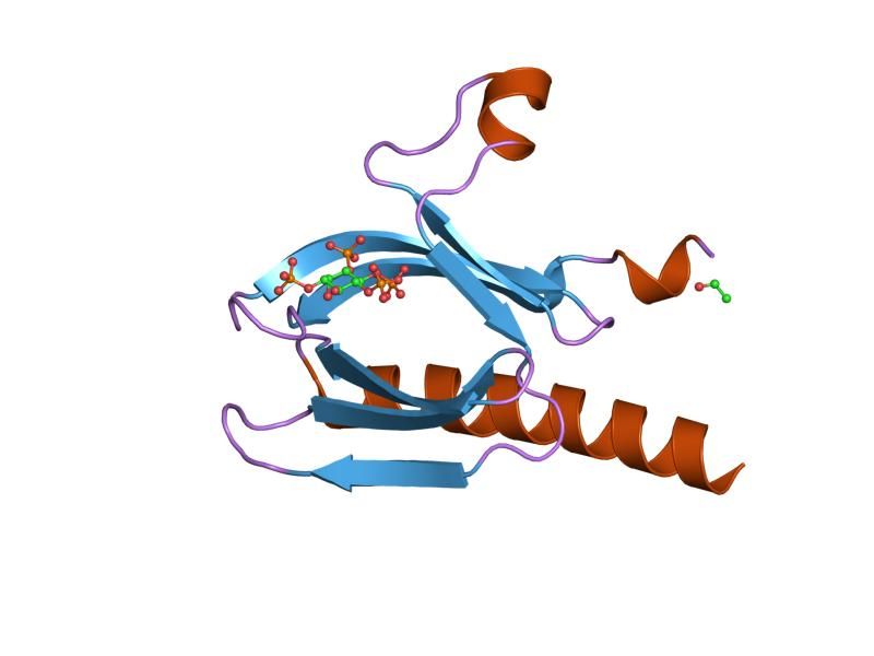 File:PDB 1unq EBI.jpg