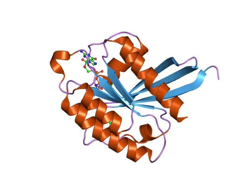 File:PDB 1xtr EBI.jpg