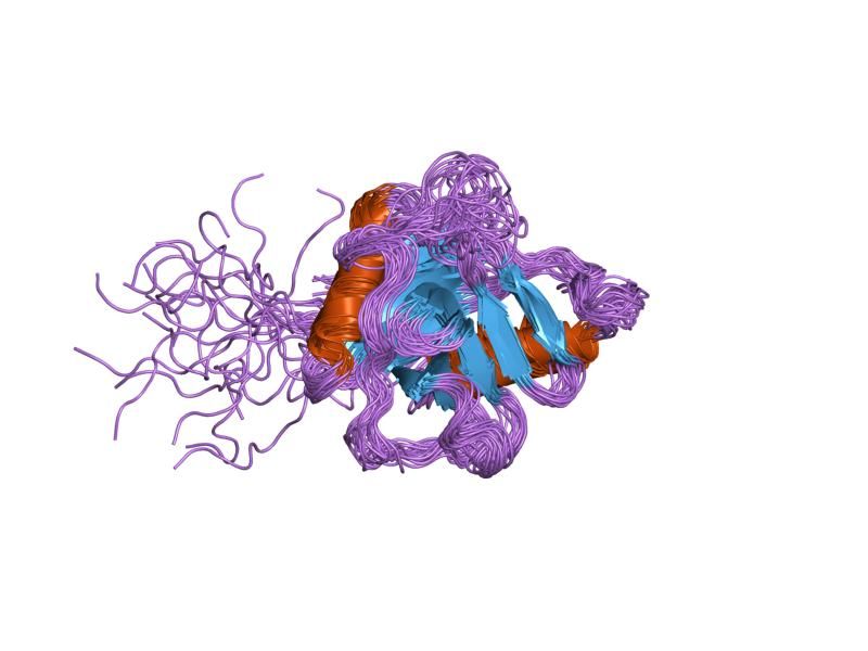 File:PDB 1xwn EBI.jpg