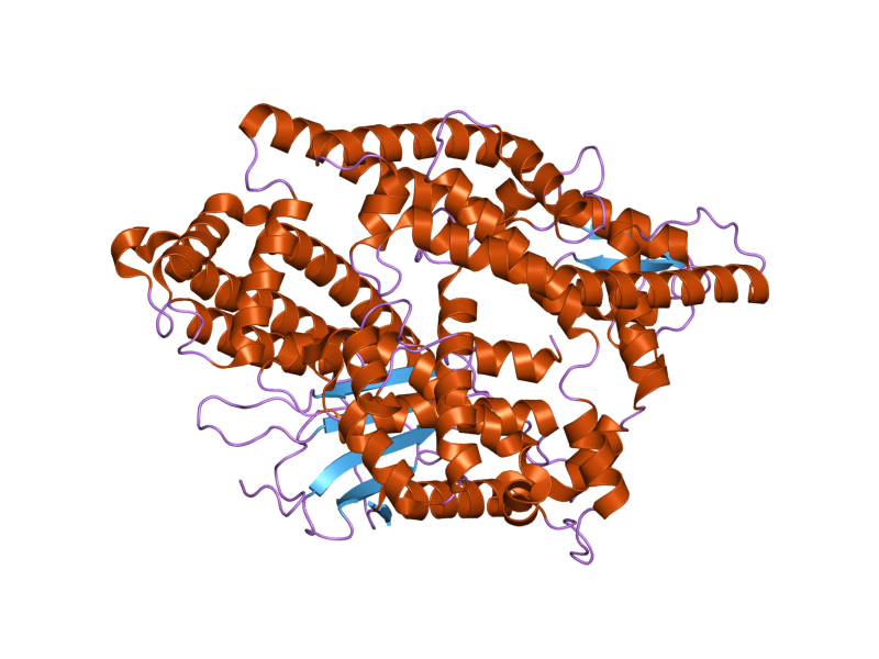 File:PDB 2o3e EBI.png