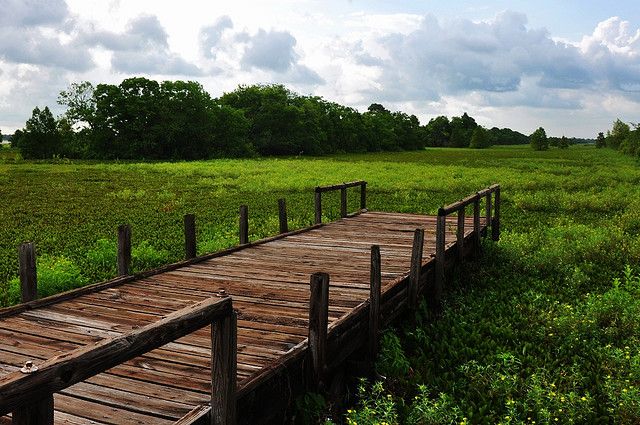 File:Sheldon Reservoir Sea of Grass.jpg