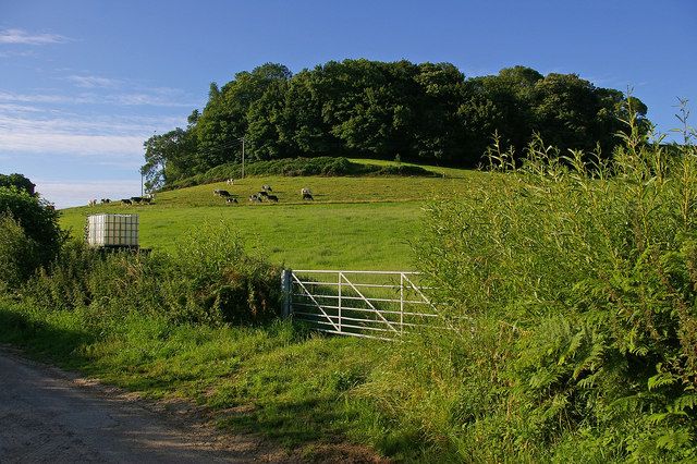 File:Waddon Hill - geograph.org.uk - 1030076.jpg